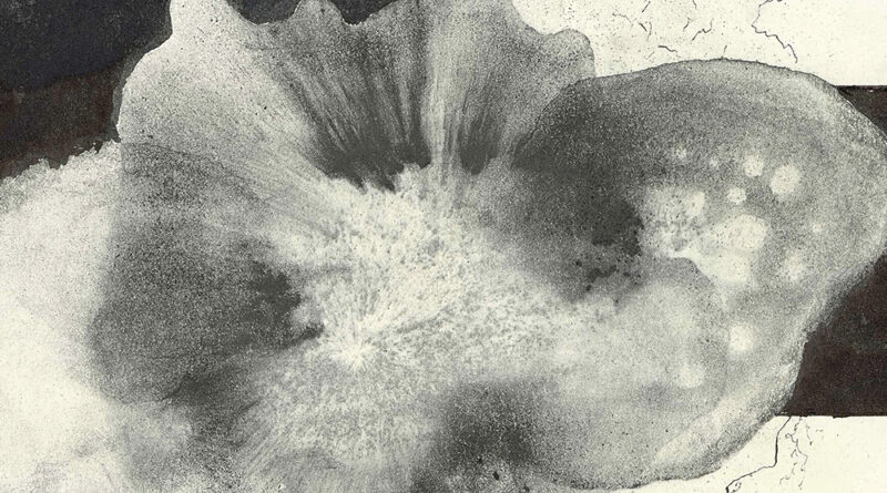 Gerhard Richter Resimsel olanın peşinde