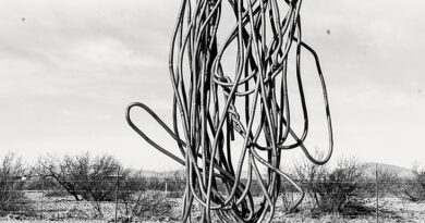 christopher wool ve heykel: değişken bir zihinsel izolasyon