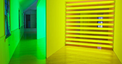 Dan Flavin ve Işık