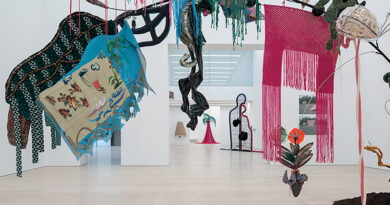 Nilbar Güreş, Velvet Stare, 2025-2026, Exhibition view, Arter, İstanbul. Photo by Kayhan Kaygusuz