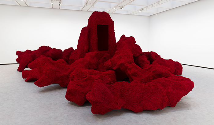 Anish Kapoor
