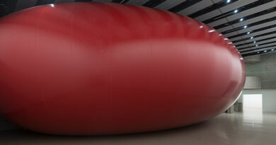 Anish Kapoor All of Nothing