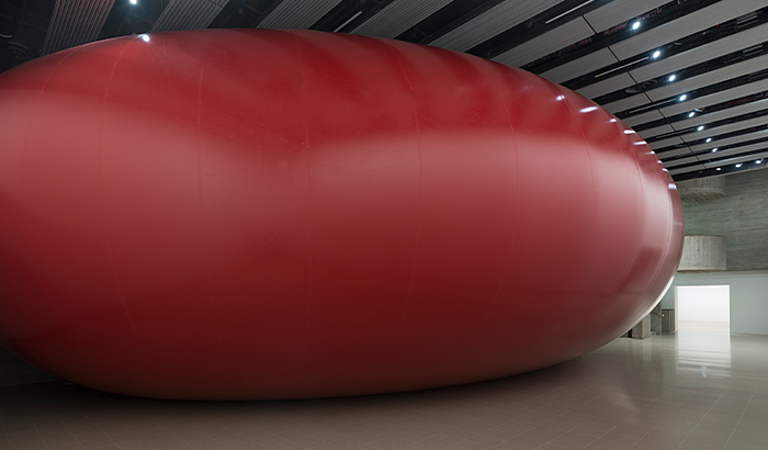 Anish Kapoor All of Nothing