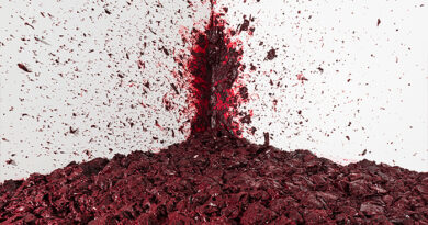 Anish Kapoor Anonim bir Çürümenin Tortuları