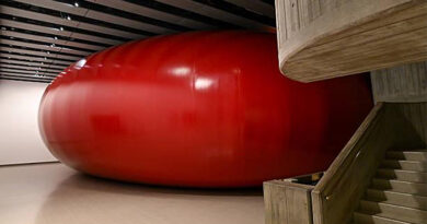 Anish Kapoor All of Nothing