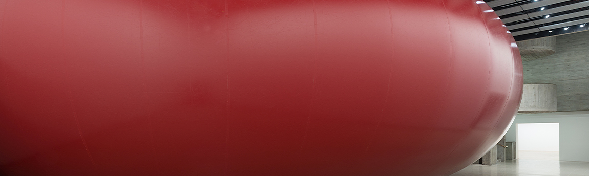 Anish Kapoor