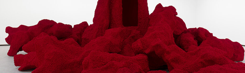 Anish Kapoor